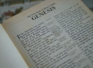 The First Book of Moses: Called Genesisbook thumbnail