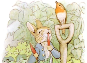 The Tale of Peter Rabbitbook thumbnail
