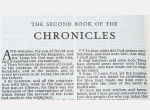 The Second Book of the Chroniclesbook thumbnail