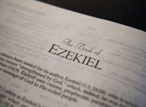 The Book of the Prophet Ezekielbook thumbnail